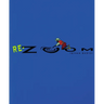 Re-Zoom