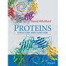 Proteins: Structure and Function