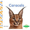 Caracals