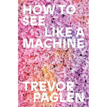 How to See Like a Machine: Images After AI