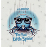 The Sad Little Spider