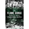 The Flume Gorge at Franconia Notch