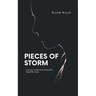Pieces of storm