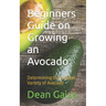 Beginners Guide on Growing an Avocado: Determining the Suitable Variety of Avocado
