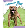 Staffordshire Bull Terriers