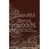The Beautiful Dismal Woods: Short Stories from the Adirondacks