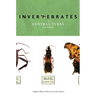 Invertebrates of Central Texas Wetlands