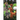 FANG Volume 1