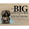 The BIG Adventures of Little Dude