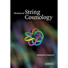 Elements of String Cosmology