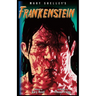 Frankenstein-The Graphic Novel