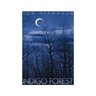 Indigo Forest