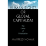 Human Rights or Global Capitalism: The Limits of Privatization