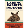 Raising Rabbits Indoors: The Complete House Rabbit Care Guide