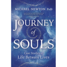 Journey of Souls: Case Studies of Life Between Lives