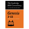 Genesis 1-11