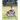 Back to the Basics Football Drill Manual: Flag Football Edition II