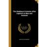 The Healing of Arteries After Ligature in Man and Animals