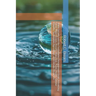 Water Security and the Sustainable Development Goals: Advancing Clean Water Access, Poverty Reduction, Public Health, Gender Equality, Sustainable Agr