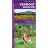 Vermont Wildlife: A Folding Pocket Guide to Familiar Animals