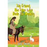 My Friend, the Man Who Rode the Donkey