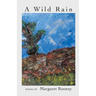 A Wild Rain
