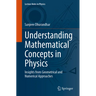 Understanding Mathematical Concepts in Physics: Insights from Geometrical and Numerical Approaches