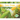Corn Crops