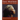 What Moves at the Margin: Selected Nonfiction