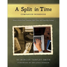 A Split in Time Companion Workbook: How to Write Dual Timeline, Split Time, and Time-Slip Fiction