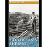 Bob Dylan's Hibbing
