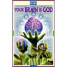 Your Brain Is God