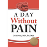 A Day Without Pain