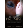 Brielle's Promise: Horse Gone Silent Trilogy Book 3