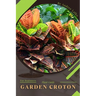 Garden Croton: Plant Guide