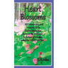 Heart Blossoms a Commentary and Analysis of the Exalted Mahayana Sutra on the Profound Perfection of Wisdom Called the Heart Sutra