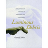 Luminous Debris: Reflecting on Vestige in Provence and Languedoc