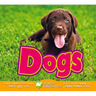 Dogs