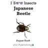 Japanese Beetle