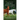 More Adventures of the Horse Doctor's Husband