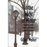 In the Midst of Winter: Counseling Families, Couples, and Individuals with AIDS Infection (Revised)