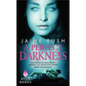 A Perfect Darkness