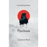 Psychosis Lost Hip Hop Writer
