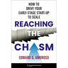 Reaching the Chasm: How to Drive Your Early-Stage Start-Up to Scale