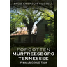 Forgotten Murfreesboro, Tennessee: If Walls Could Talk