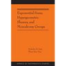 Exponential Sums, Hypergeometric Sheaves, and Monodromy Groups