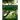 The Overstory Book: Cultivating Connections with Trees, 2nd Edition