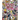 Ernie and the Piranha Club 2013-2014