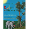 Colors of Nature: Brenai Learning Series