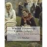 Where Highways Cross (1895). By: J. S. Fletcher: Illustrated By: J. Ayton Symington (1859-1939).British illustrator
